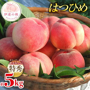 【ふるさと納税】【2026年出荷分先行予約】福島県産 はつひめ 約5kg (18~22玉) ふくしま未来農業協同組合 特秀 透過式光センサー選別 糖度11度以上 伊達の桃 桃 フルーツ 果物 もも モモ momo F20C-127