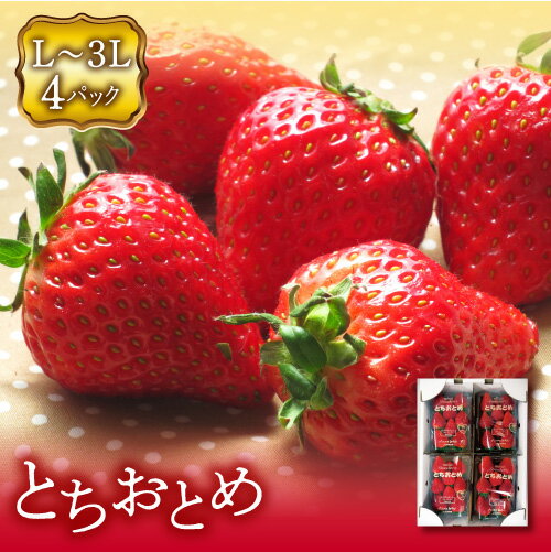 【ふるさと納税】 先行予約 福島県 伊達市産 いちご とちおとめ3L～Lサイズ 4パック F20C-133