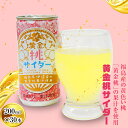 【ふるさと納税】伊達産「黄金桃」使用 黄金サイダー 200ml×30本