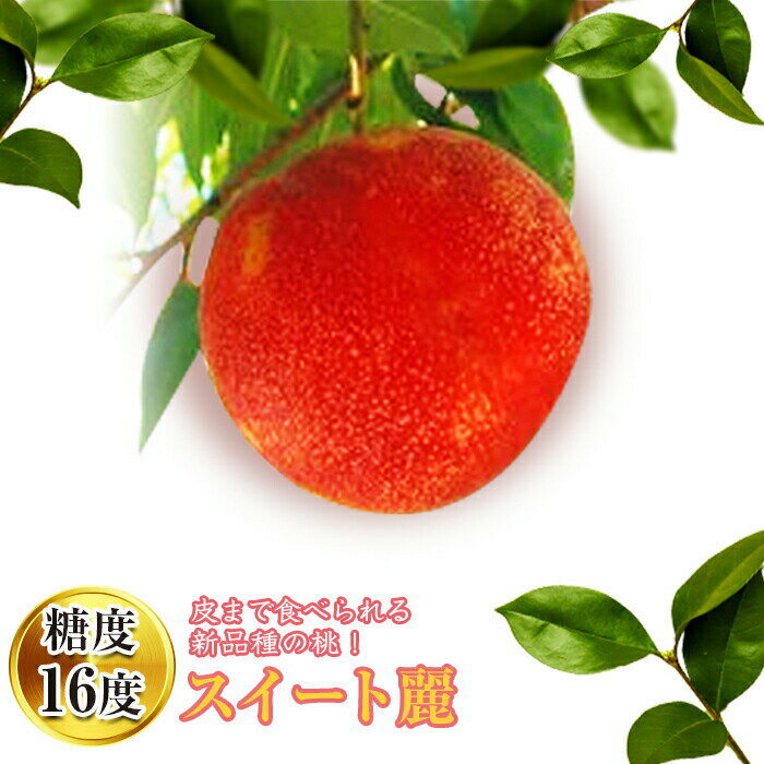 【ふるさと納税】皮まで食べられる新品種 福島県産 スイート麗 1.5kg 2024年8月下旬～2024年9月上旬発送 先行予約 予約 伊達の桃 桃 もも モモ 果物 くだもの フルーツ 国産 食品 F20C-149のサムネイル