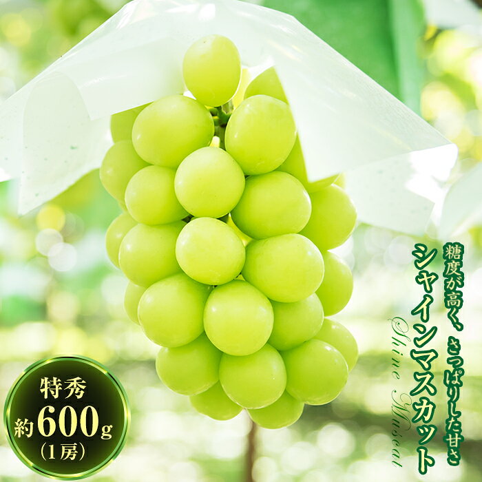 伊達市産 シャインマスカット 特秀 1房 約600g