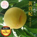 【ふるさと納税】【2026年出荷分先行予約】福島県産 黄貴妃 約3kg (11~13玉) 有限会社志賀青果 数量限定 伊達の桃 桃 フルーツ 果物 もも モモ momo F20C-158
