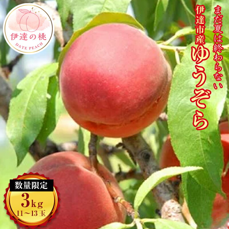 【ふるさと納税】福島県産 ゆうぞら 約3kg 2024年8月中旬～2024年9月初旬発送 先行予約 予約 数量限定 小さめ 固め …