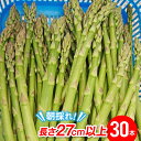 【ふるさと納税】 【伊達市産J-GAP取得】朝採りアスパラ約1kg(27cm以上・30本程度) F20C-172