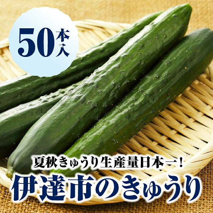 伊達市のきゅうり A級 50本入 (約4〜5kg)