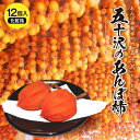 【ふるさと納税】五十沢のあんぽ柿 12個入り 化粧箱 F20C-247