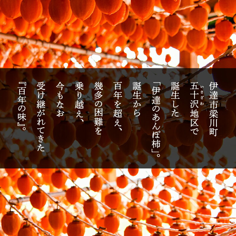 【ふるさと納税】五十沢のあんぽ柿 230g×3パック 5パック 8パック 選べる容量 あんぽがき かき ドライフルーツ フルーツ 果物 くだもの 福島県産 国産 F20C-248var