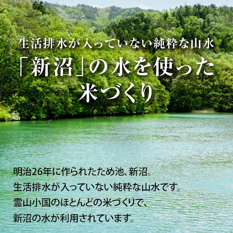 ひとくち食べれば　ほら笑顔　いつものお米　【ふるさと納税】 JGAP認証 新米 令7年産米 霊山小国うまい米 天のつぶ 5kg 精米 白米 F20C-258