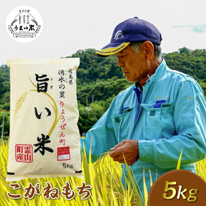 JGAP認証 新米 令和5年産米 霊山小国うまい米 こがねもち 5kg もち米 F20C-262