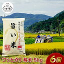 19位! 口コミ数「0件」評価「0」福島県伊達市産 ＜定期便＞霊山小国うまい米 コシヒカリ精米5kg×6回連続 F20C-265