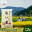 【ふるさと納税】福島県伊達市産 <定期便>霊山小国うまい米 天のつぶ精米5kg×12回連続 F20C-268 100,000円