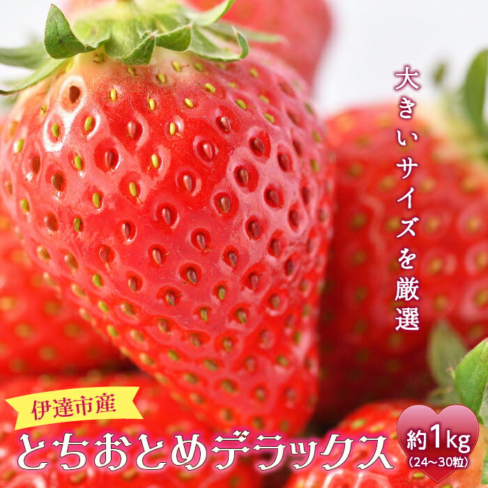 【ふるさと納税】伊達市産 とちおとめデラックス 約1kg (24～30粒) いちご イチゴ 苺 F20C-276のサムネイル