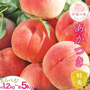 【ふるさと納税】\選べる容量/【2026年出荷分先行予約】福島県産 あかつき 約1.2kg 約3kg 約5kg ふくしま未来農業協同組合 特秀 糖度12度以上 透過式光センサー選別 伊達の桃 桃 もも モモ 果物 くだもの フルーツ 名産品 国産 食品 F20C-278var