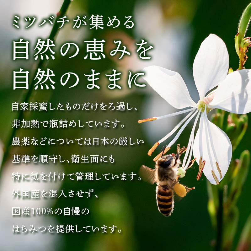 【ふるさと納税】柿の天然はちみつ 900g(300g×3) 伊達市産 国産 天然 蜂蜜 ハチミツ ハニー F20C-294