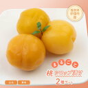【ふるさと納税】まるごと桃2種セット(白桃2つ、黄桃1つ) F20C-335