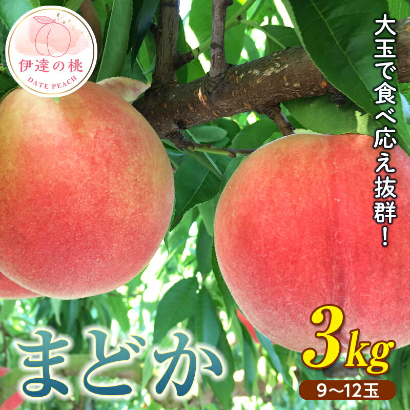 【ふるさと納税】福島県産 まどか 3kg 2024年8月上旬～2024年8月中旬発送 先行予約 予約 大玉 固め 伊達の桃 桃 もも モモ 果物 くだもの フルーツ 国産 食品 F20C-370のサムネイル