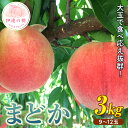 【ふるさと納税】2025年出荷分 先行予約福島県産 まどか 3kg 2025年8月上旬〜2025年8月中旬発送 先行予約 予約 大玉 固め 伊達の桃 桃 もも モモ 果物 くだもの フルーツ 国産 食品 F20C-370 その1