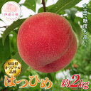 【ふるさと納税】【2026年出荷分先行予約】福島県産 はつひめ 約2kg (7~10玉) 斎藤果樹園 オリジナル品種 伊達の桃 桃 フルーツ 果物 もも モモ momo F20C-371