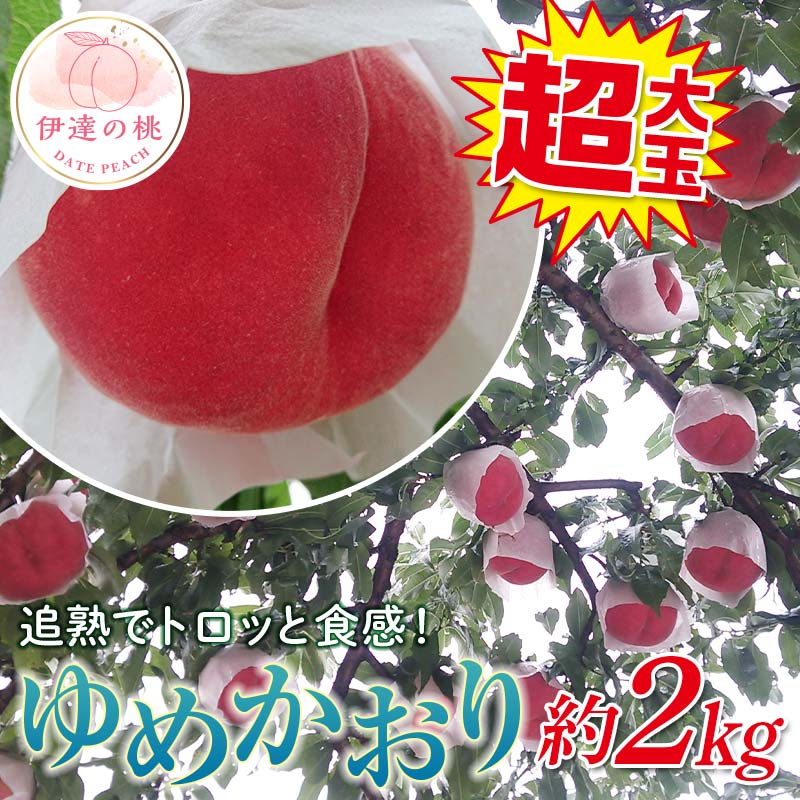 【ふるさと納税】福島県産 ゆめかおり 2kg 新品種 2024年9月中旬～2024年9月下旬発送 先行予約 予約 極大玉 大きめ 固め 伊達の桃 桃 もも モモ 果物 くだもの フルーツ 国産 食品 F20C-372