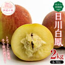 【ふるさと納税】《先行予約》 福島の桃 日川白鳳 2kg（6～10玉） 桃 もも モモ ひかわはくほ ...