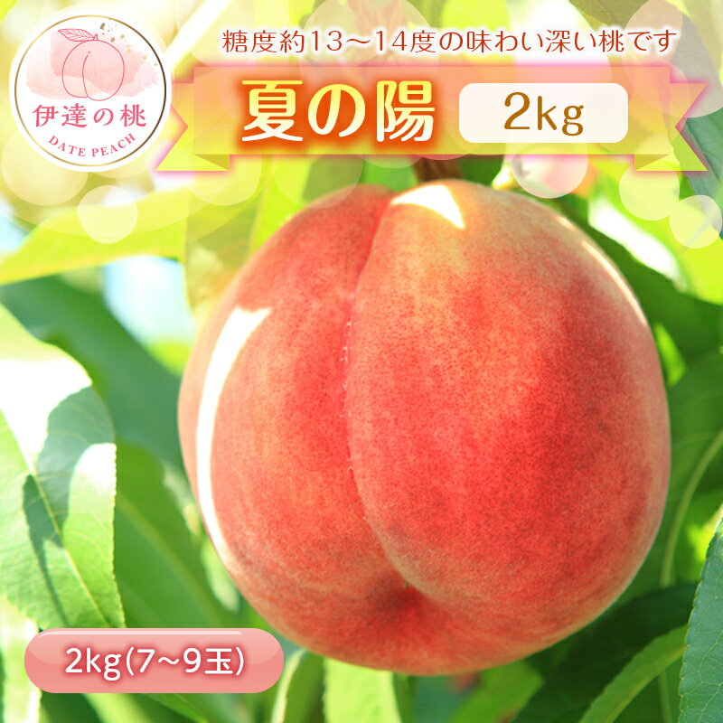 【ふるさと納税】《先行予約》 福島の桃 夏の陽 2kg（7～