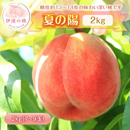 《先行予約》 福島の桃 夏の陽 2kg（7～9玉） 桃 もも モモ 果物 フルーツ ふるさと納税 予約 福島県 伊達市 スイーツ お取り寄せ なつのよう 伊達の桃 伊達のもも 新品種 F20C-454