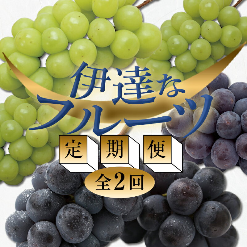 [2025年秋から開始の定期便] 伊達なフルーツ定期便(ぶどう2種)果物 フルーツ 葡萄 ブドウ 福島県 伊達市 F20C-477