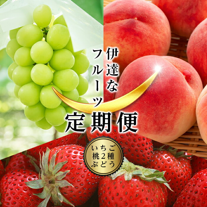 【ふるさと納税】＜2023年春から開始の定期便＞伊達なフルーツ定期便（いちご・もも2種・ぶどう) 果物 フルーツ 苺 イチゴ 桃 モモ 葡萄 ブドウ 福島県 伊達市 F20C-486のサムネイル