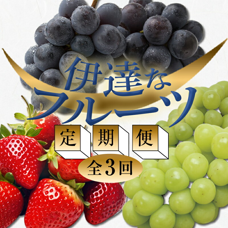 【ふるさと納税】＜2023年春から開始の定期便＞伊達なフルーツ定期便（いちご・ぶどう2種）果物 フルーツ 苺 イチゴ 葡萄 ブドウ 福島県 伊達市 F20C-487のサムネイル