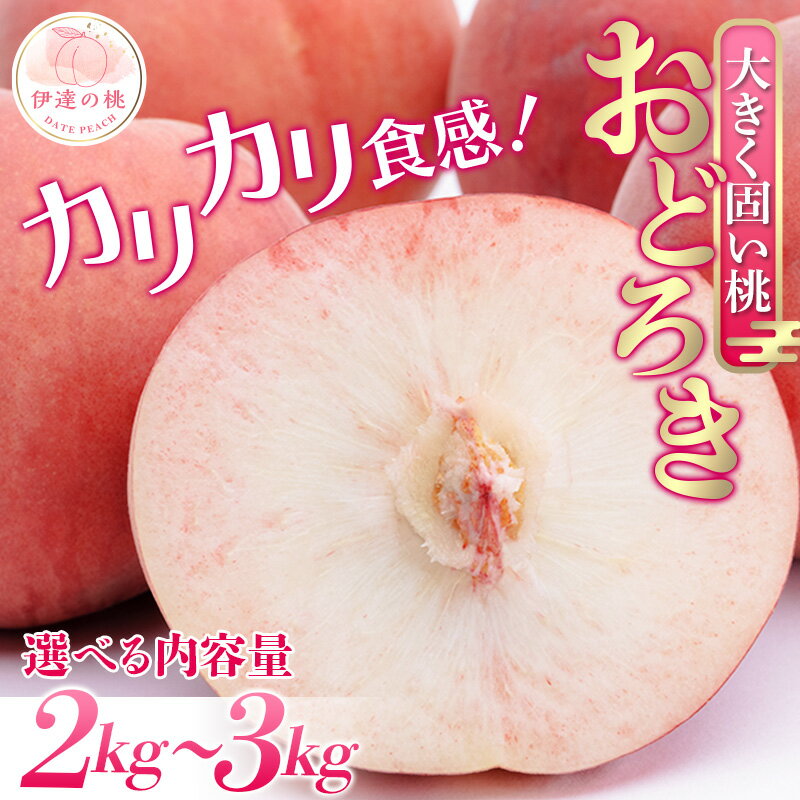 【ふるさと納税】《先行予約》 福島の桃 固い桃 伊達市産桃 おどろき 2～3kg 桃 もも モモ 歯応え 果物 フルーツ 国…