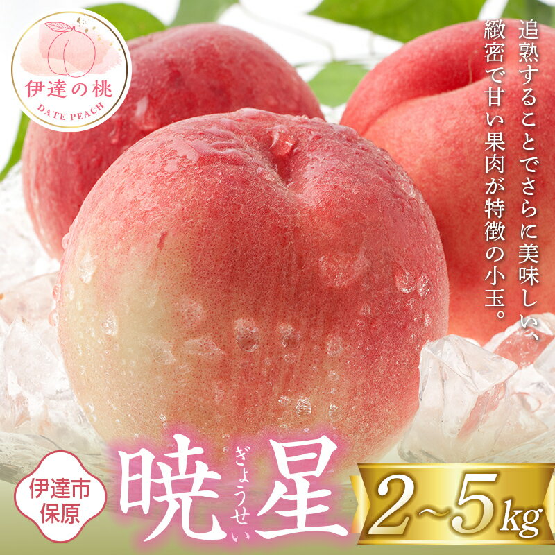 【ふるさと納税】数量が選べる 福島県産 暁星 2kg 3kg 5kg 2024年7月中旬～2024年7月下旬発送 先行予約 予約 伊達の桃 ぎょうせい 小玉 桃 もも モモ 果物 くだもの フルーツ 国産 食品 F20C-502varのサムネイル