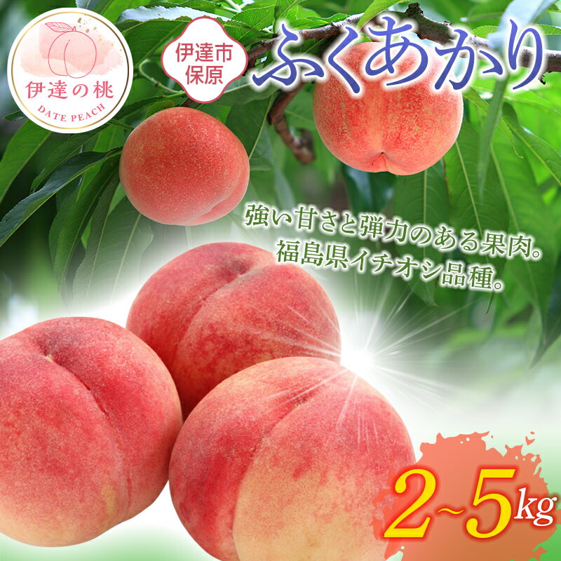 福島の桃 ふくあかり 2kg〜5kg [あかい果樹園] 先行予約 フルーツ 果物 もも モモ momo F20C-505var