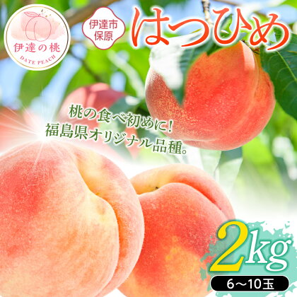 《先行予約》 福島の桃 はつひめ 2kg（6～10玉） 桃 もも モモ やわらかい 果物 フルーツ 産地直送 ふるさと納税 福島県 伊達市 F20C-506