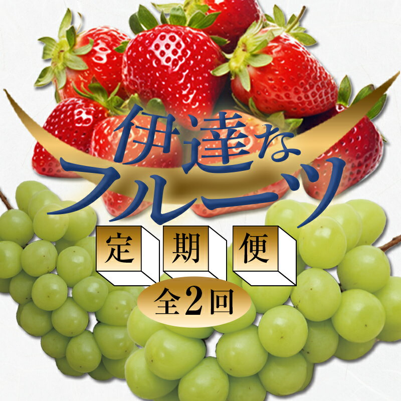 【ふるさと納税】＜2024年春から開始の定期便＞伊達なフルーツ定期便（いちご・ぶどう）果物 フルーツ 苺 イチゴ 葡萄 ブドウ 福島県 伊達市 F20C-511のサムネイル