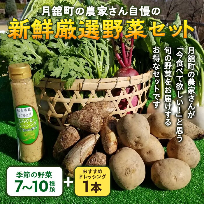 42位! 口コミ数「0件」評価「0」月舘町の農家さん自慢の新鮮厳選野菜セット F20C-517