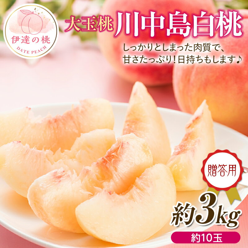 【ふるさと納税】【2026年出荷分先行予約】福島県産 川中島白桃 約3kg (約10玉) 一般社団法人つきだて振興公社 白桃 大玉 贈り物 贈答 ギフト 伊達の桃 桃 フルーツ 果物 もも モモ momo F20C-521