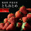 【ふるさと納税】<2026年発送>伊達市霊山で採れるいちご「とちおとめ」1kg (250g×4パック) イチゴ 苺 F20C-532