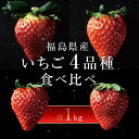 【ふるさと納税】<2026年発送>完熟 いちご 贅沢食べ比べ 4品種セット(1箱) とちおとめ ふくはる香 紅ほっぺ おいCベリー イチゴ 苺 いちご F20C-533