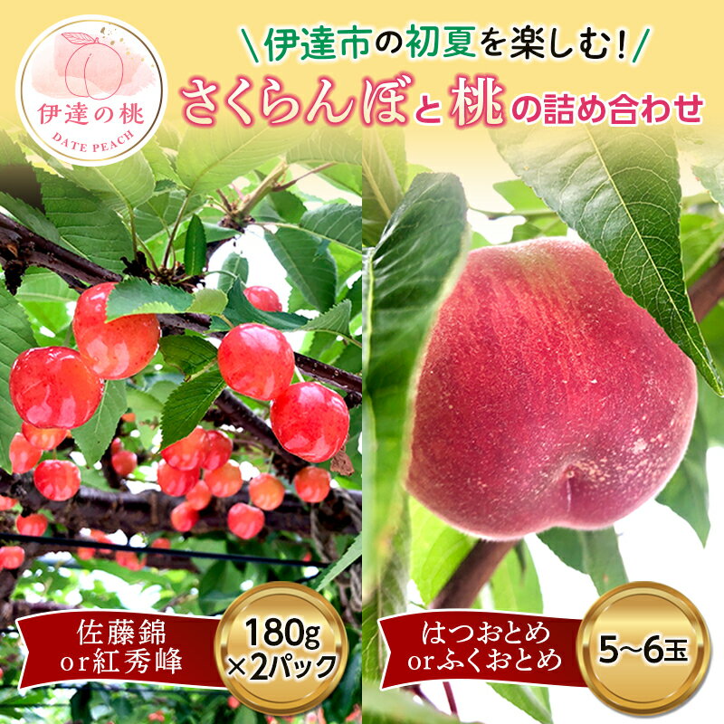 【ふるさと納税】《先行予約》 福島の桃 さくらんぼと桃の詰め