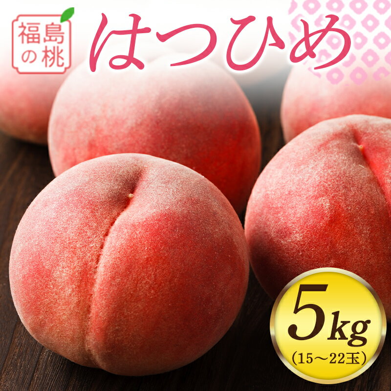【ふるさと納税】《先行予約》 福島の桃 はつひめ 5kg（13〜18玉） 桃 もも モモ 果物 フルーツ 予約 産地直送 国産 お取り寄せ ふるさと納税 福島県 伊達市 F20C-551のサムネイル