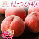 【ふるさと納税】\選べる容量/【2026年出荷分先行予約】福島県産 はつひめ 約2kg 約3kg 約5kg 佐藤俊博 福島県オリジナル品種 伊達の桃 桃 フルーツ 果物 もも モモ momo F20C-551var