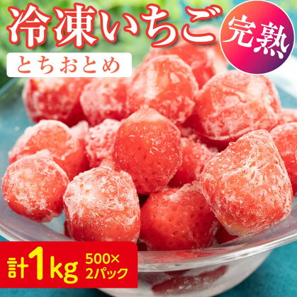 冷凍いちご とちおとめ 1kg（500g×2パック） F20C-577