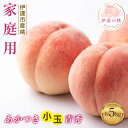 【ふるさと納税】【2026年出荷分先行予約】福島県産 家庭用 あかつき 約5kg (20~22玉) ふくしま未来農業協同組合 透過式光センサー選別 小玉 青秀 不揃い 伊達の桃 桃 フルーツ 果物 もも モモ momo F20C-585