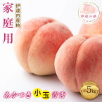 【ふるさと納税】【2026年出荷分先行予約】福島県産 家庭用 あかつき 約5kg (20~22玉) ふくしま未来農業協同組合 透過式光センサー選別 小玉 青秀 不揃い 伊達の桃 桃 フルーツ 果物 もも モモ momo F20C-585