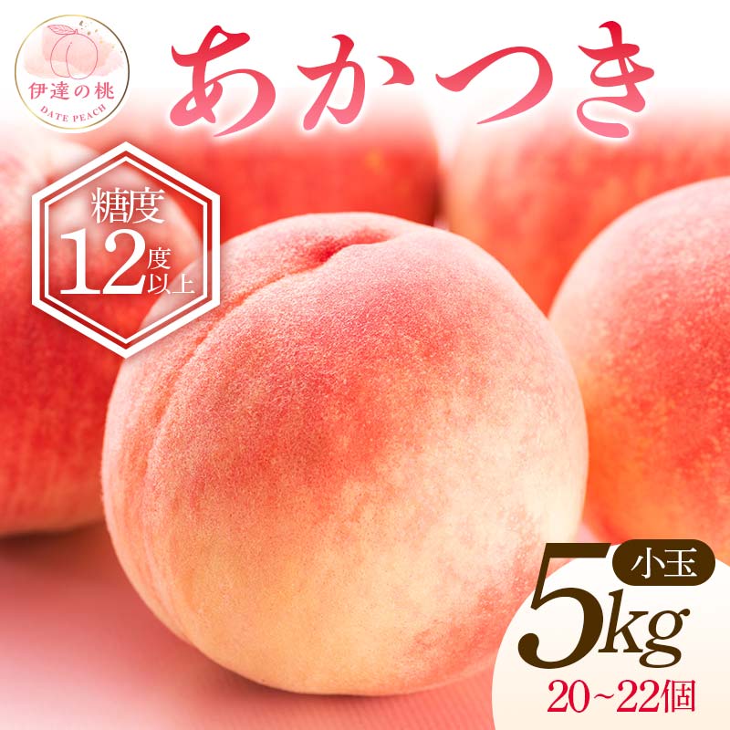 [先行予約][透過式光センサー選別] 福島県伊達市産 桃 あかつき 小玉 特秀 約5kg(20〜22個) もも モモ 糖度 果物 フルーツ 予約 産地直送 国産 お取り寄せ ふるさと納税 福島県 伊達市 F20C-586