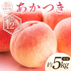【ふるさと納税】【2026年出荷分先行予約】福島県産 あかつき 約5kg (20~22玉) 特秀 小玉 透過式光センサー選別 伊達の桃 桃 フルーツ 果物 もも モモ momo F20C-586
