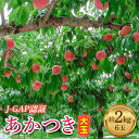 14位! 口コミ数「2件」評価「3.5」《先行予約》【J-GAP認証】 伊達市産 あかつき 大玉 約2kg 6玉 桃 もも モモ 果物 フルーツ 産地直送 国産 お取り寄せ ふるさ･･･ 