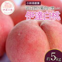 【ふるさと納税】【2026年出荷分先行予約】福島県産 伊達白桃 約5kg (14~20玉) 小林果樹園 白桃 大玉 伊達の桃 フルーツ 果物 もも モモ momo F20C-593