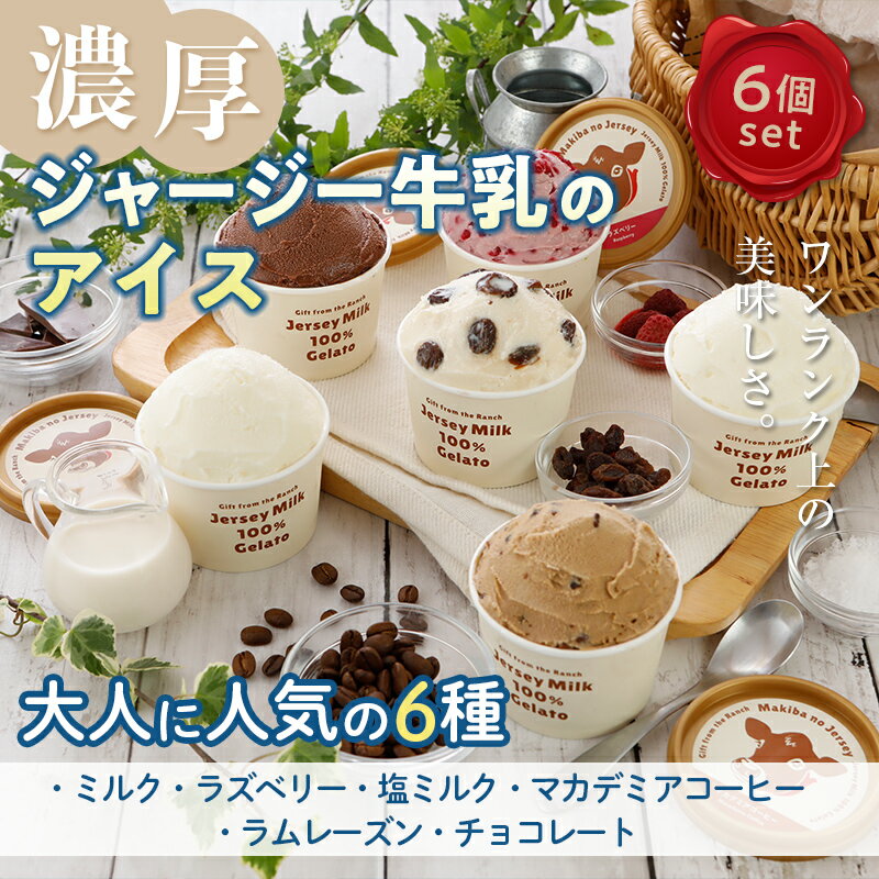 【ふるさと納税】《ジャージー牛乳使用》まきばのジャージーアイス人気の大人セット6個入り F20C-853のサムネイル