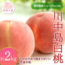 【ふるさと納税】【2026年出荷分先行予約】福島県産 川中島白桃 約2kg (5~7玉) 菅野農園FruitsProvider 白桃 大玉 伊達の桃 桃 フルーツ 果物 もも モモ momo F20C-605